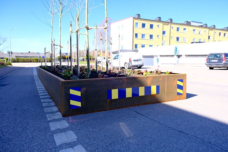 Träd på tillväxt hos Ängelholmshem