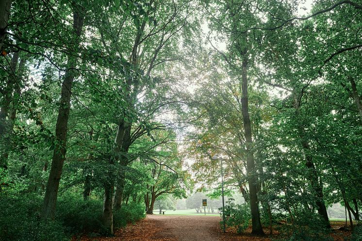 Segeparken 