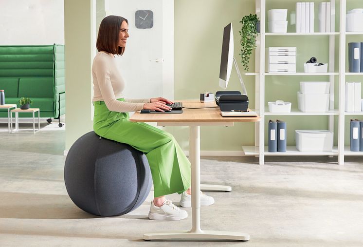 Bild-Leitz Sittboll.jpg