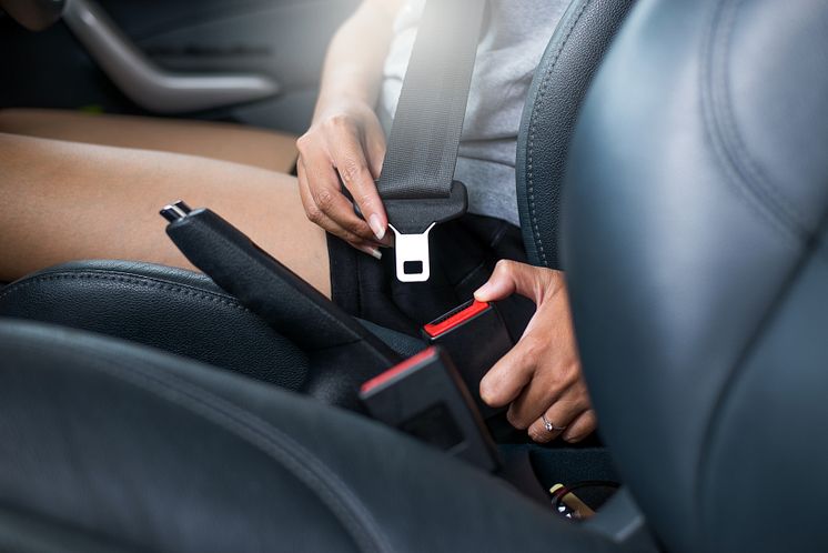 Seat Belt.jpeg