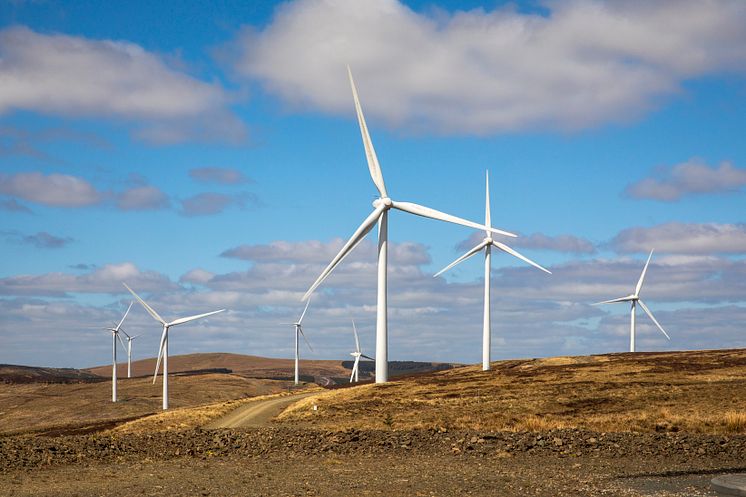 Windy Standard 1 Wind Farm.jpg