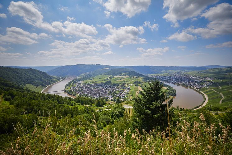 Landal_Mont Royal_Mosel_Aussicht