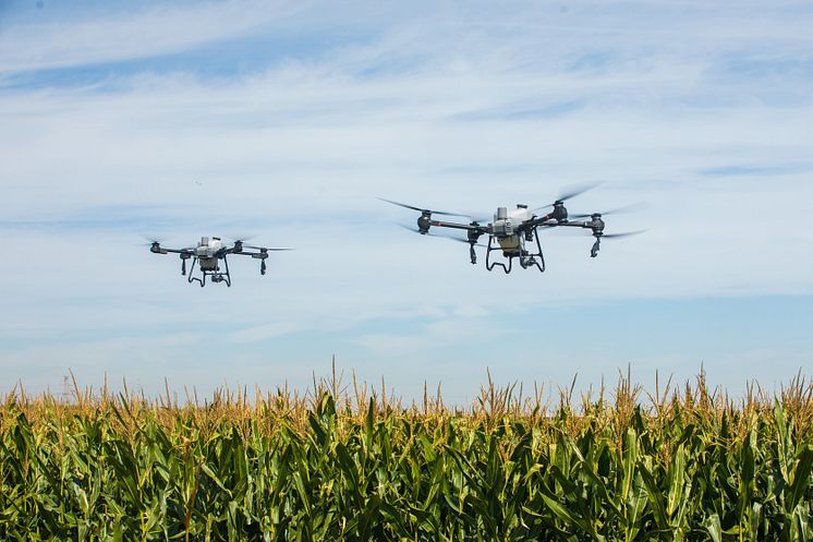 DJI Agras T50&T25 KV2.jpg