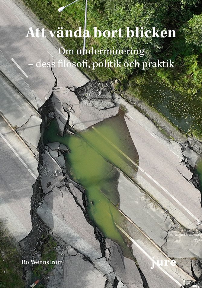 framsida_att vanda bort blicken.jpg