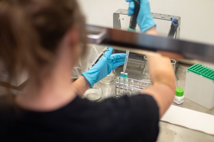 Reningsverket lab.jpg