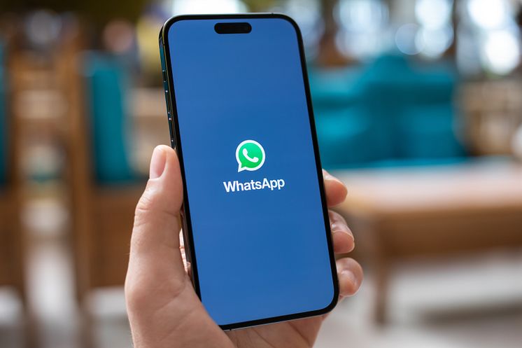 Discover Airlines_WhatsApp
