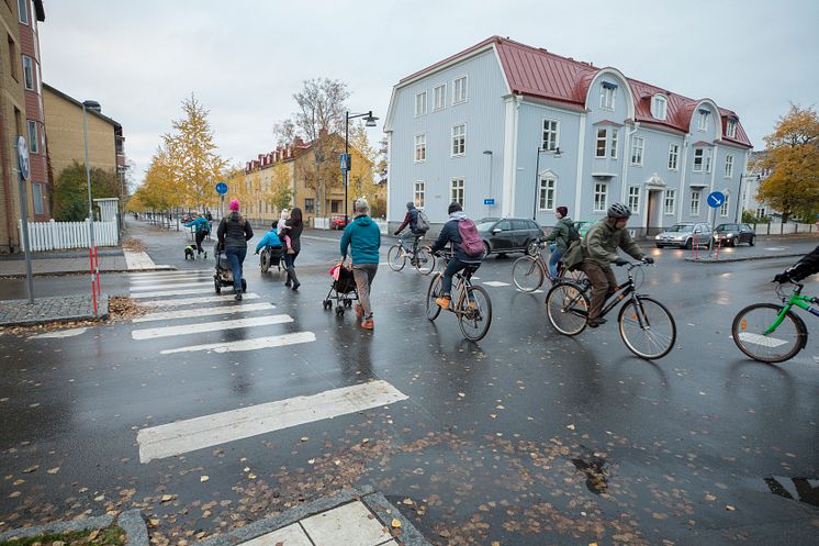 Många+cyklister+o+fotgängare+cykelöverfart+1.jpg