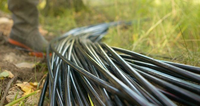 fiber-wexnet