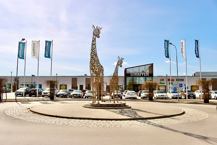 Girafferna utomhus.JPG