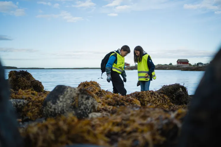 Skolerydding, Seløy med Vårt Hav.. Foto: Sivert Brautaset