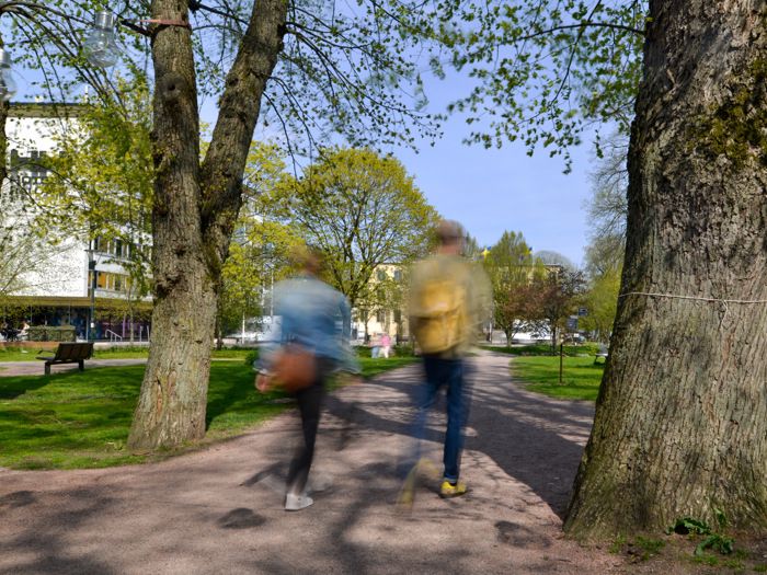 Befolkningsprognsen visar att Kungsbacka kommun växer men i lugnare takt.jpg