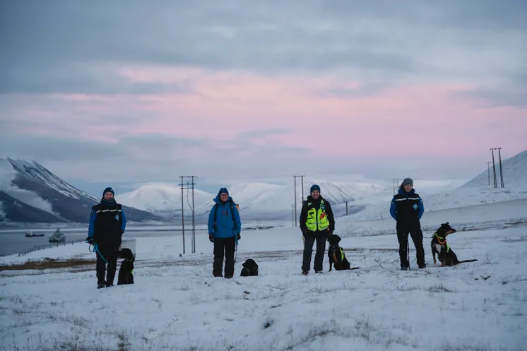 Norske Redningshunder på Svalbard.