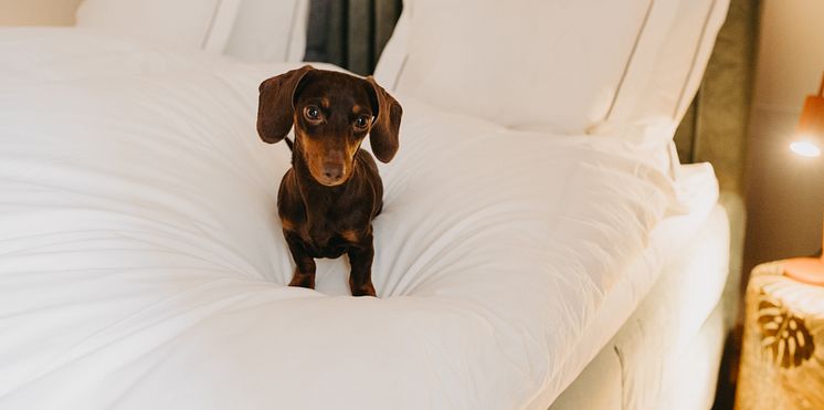 Foto_Chatarina_Lundin.JPG