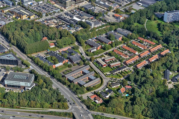 Moerkhøjgaard.jpg