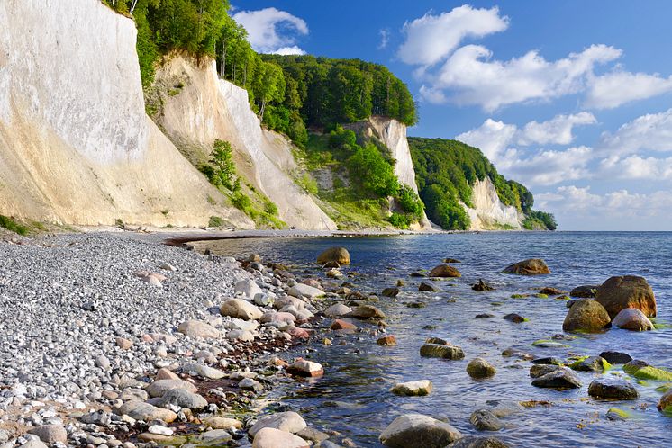 Vorpommern-Rügen_Rügen_Kreidefelsen_im_Nationalpark_Jasmund_.jpg