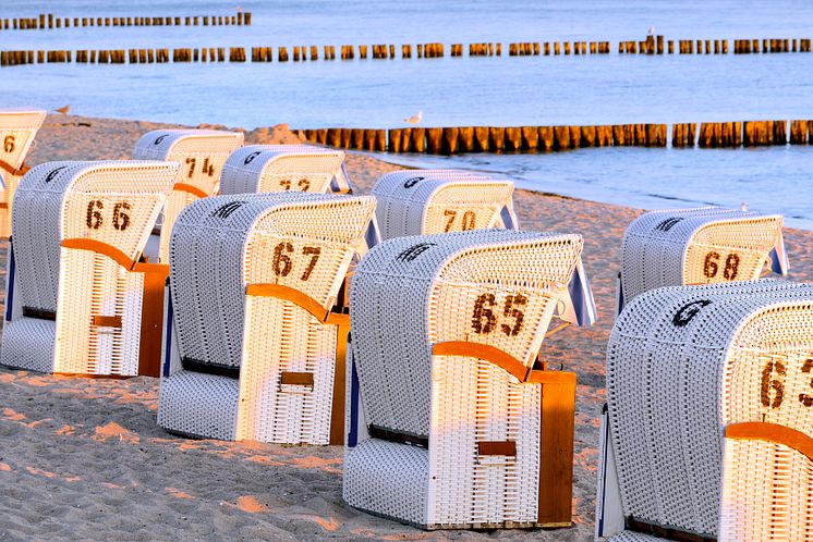 Bad Doberan_Heiligendamm_Strandkörbe_im_Abendlicht.jpg