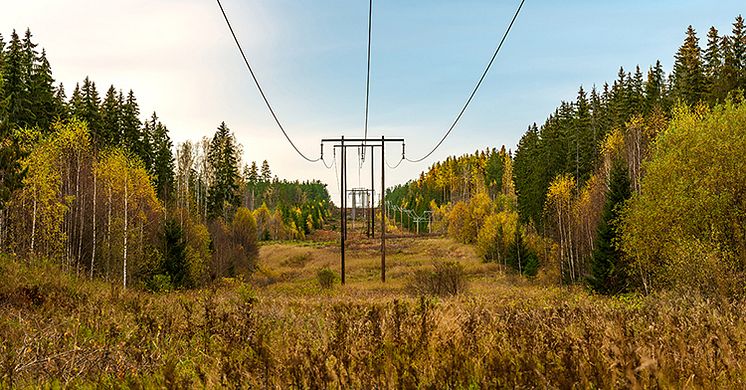 Metria Markkoll_iStock-1350992305_1200x627 