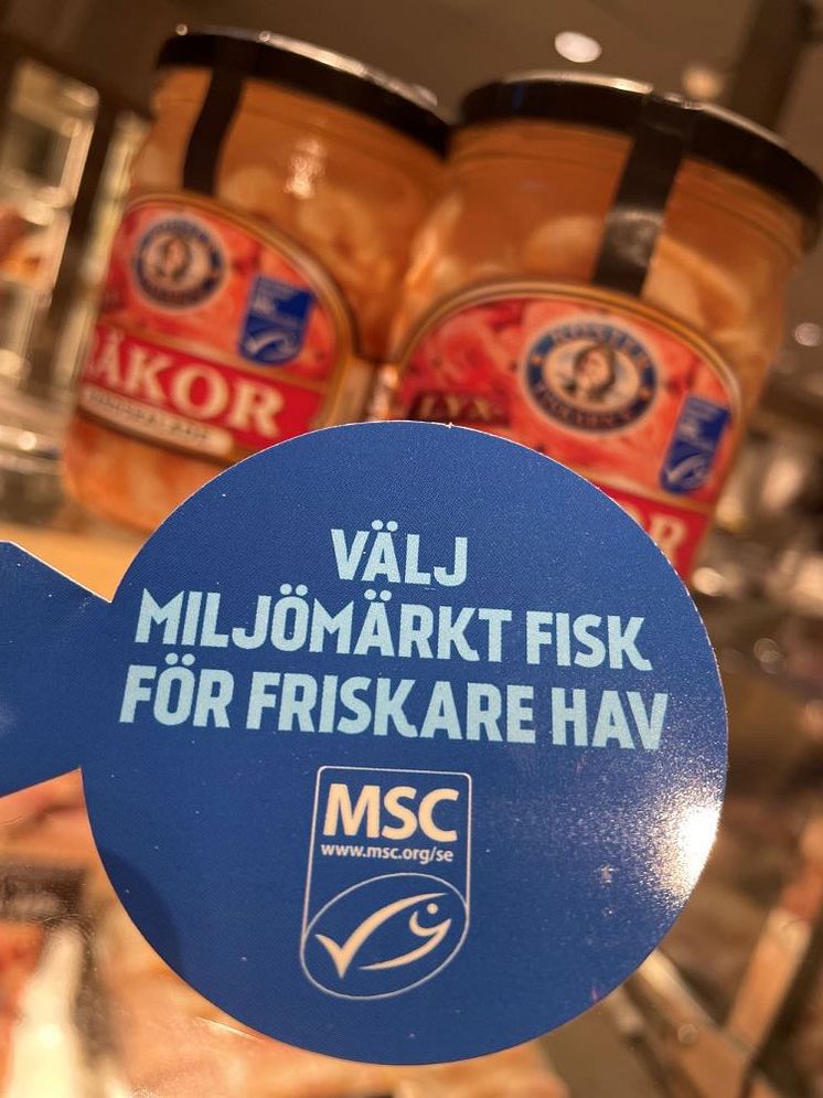 Hyllvippa 2.jpg