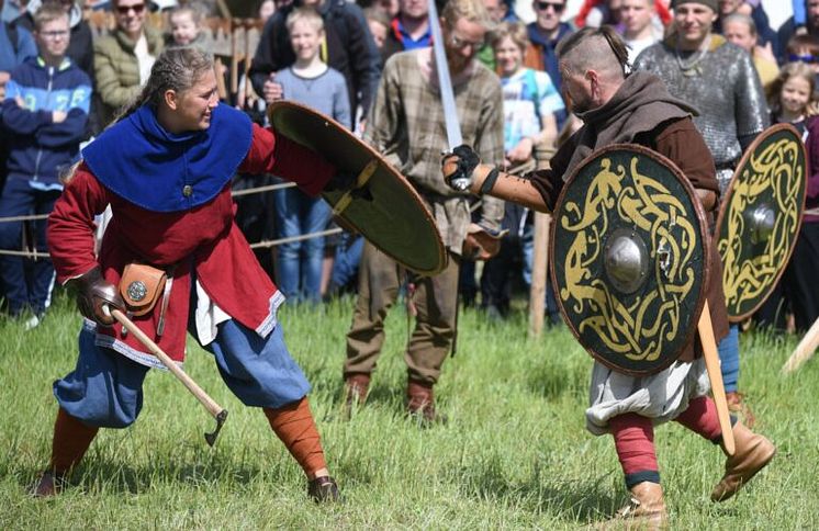 vikingfigh-1-768x498.jpg