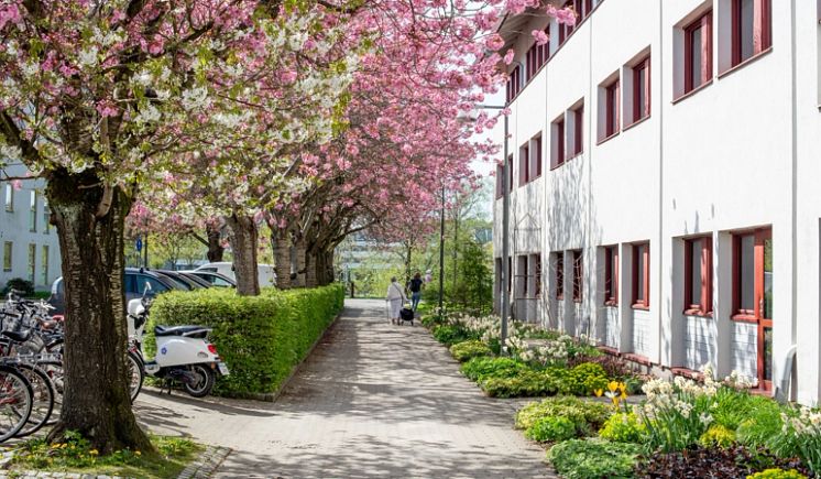 Prognosen visar på en stark ekonomi för Kungsbacka kommun.webp