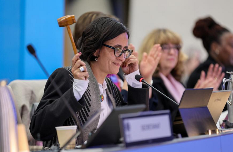COP16 President.png