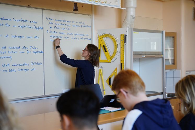 ökadskolnärvara.JPG