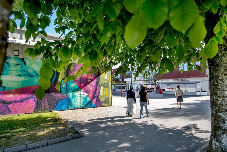 Hässleholmen_Borås.jpg