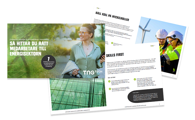 ladda-ner-energi-gron-omstallning-kompetens-guide-chefer-tng-tech-ledare.png
