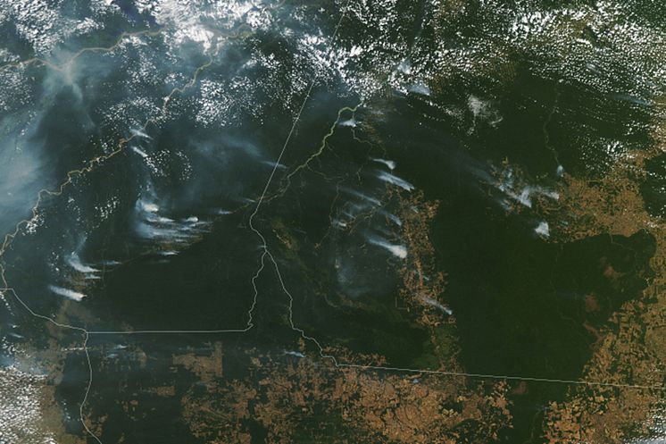 amazonfires_august2020_VisibleEarth_NASA.jpg