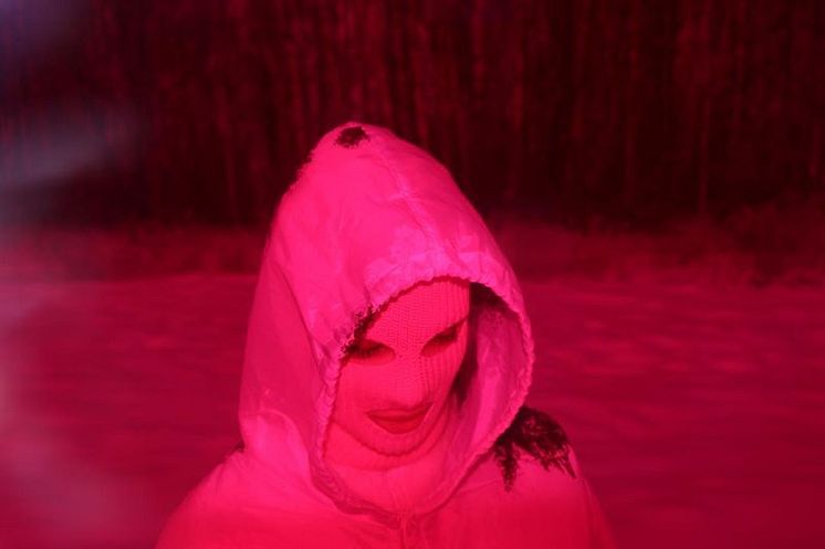 pussy riot - nadya tolokonnikova.jpg