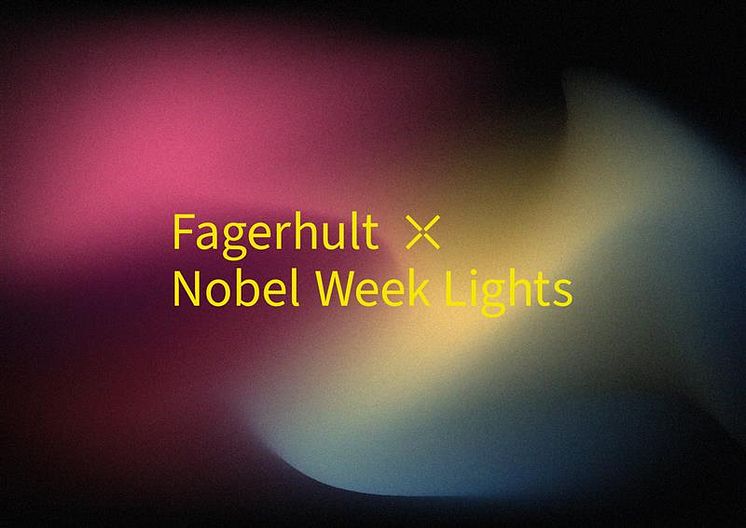 Fagerhult x Nobel Week Lights 2024.jpg
