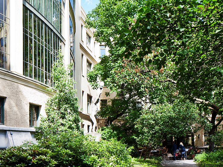 Centralbadet - rådgivare - Rovio-800x600.jpg
