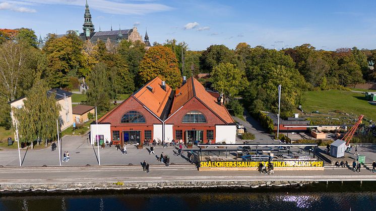 Djurgårdsstrand från ovan