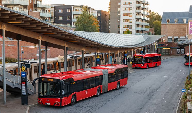 Bybuss78.jpg