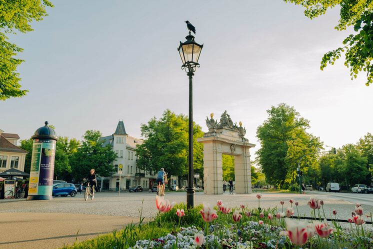 Potsdam Innenstadt (c) PMSG Julia Nimke.jpg