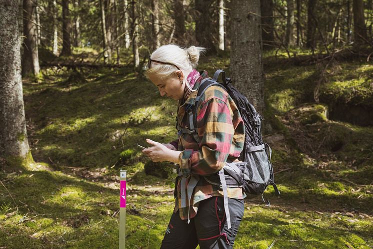Hittaut 2023 Skövde