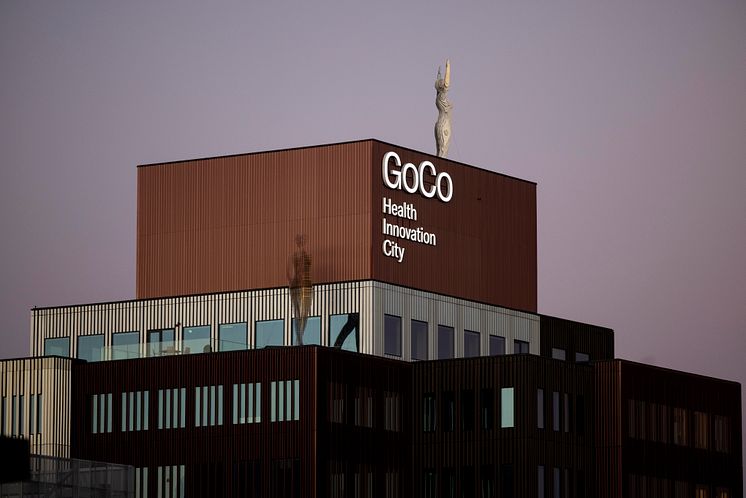 1.GoCo House.jpg