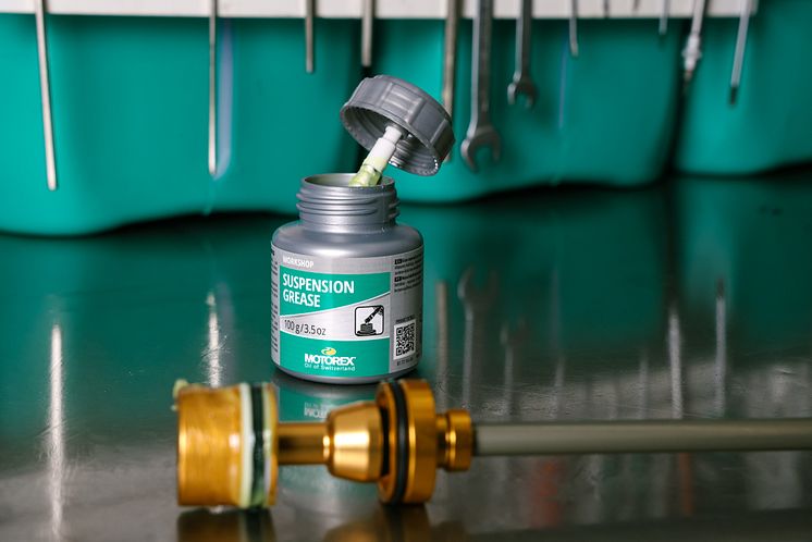 MOTOREX Suspension Grease (2).JPG