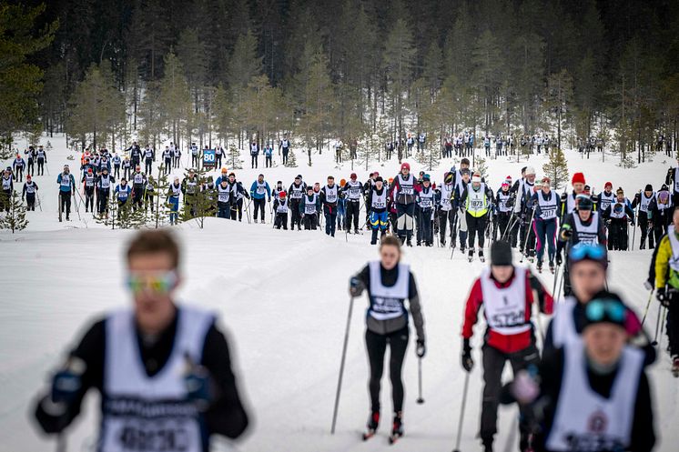 Öppet Spår söndag 2024
