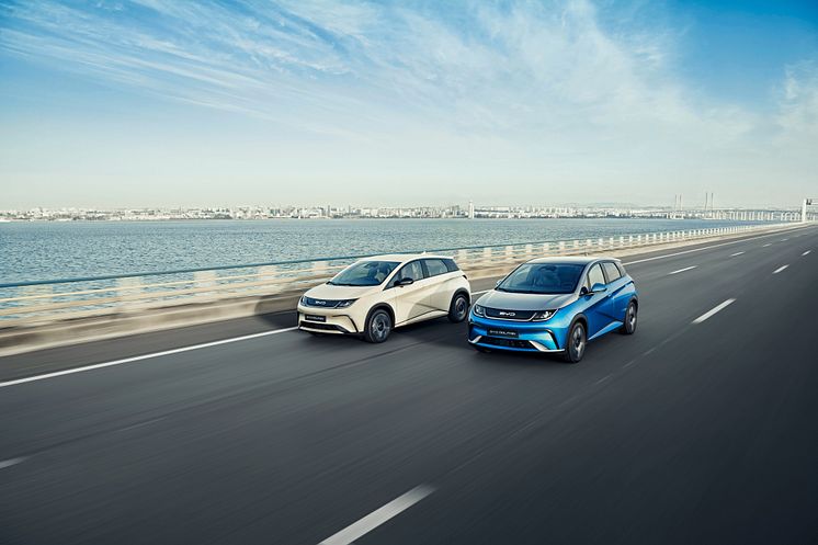 17、DOLPHIN_LHD_Lifestyle_Outside_On Road_Dual car_download.jpg