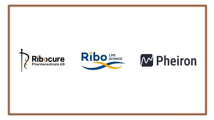 AI Ribocure Ribo Pheiron 2.jpg