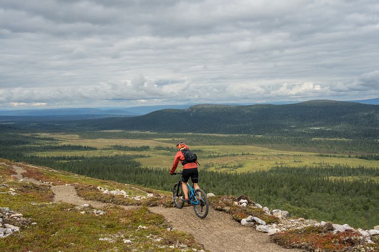 FotoEmmaEdejern_RedAnetteAndersson_03092_HIGHRES.jpg