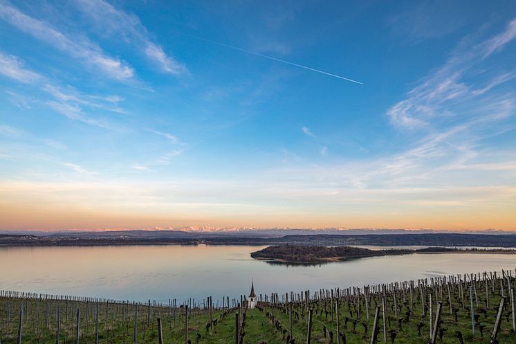 Bielersee