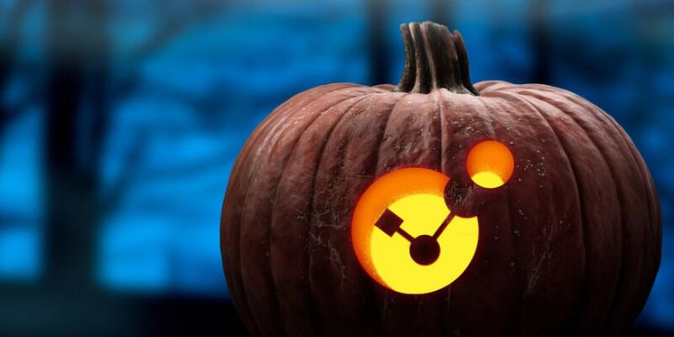 pumpkin2-1200x1200-1-800x400.jpg