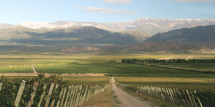 Finca Las Moras MyNewsdesk.png