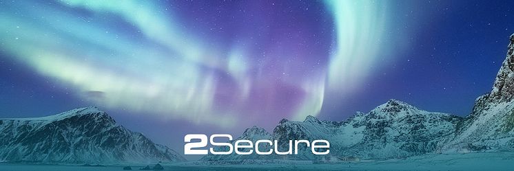2Secure_Business_risks2025.jpg