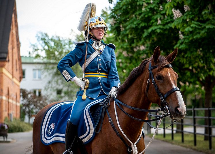 NyaParadhjälmenPM_Foto_JennyRingström-Försvarsmakten.jpg