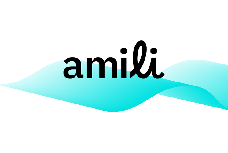 amili visma namn.png