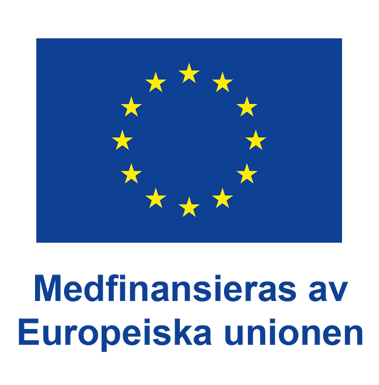 EU-loggor - Svenska ESF-rådet.png