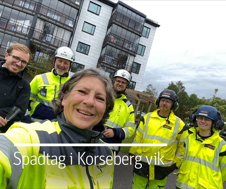 Spadtag i Korseberg vik.jpg